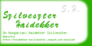 szilveszter haidekker business card